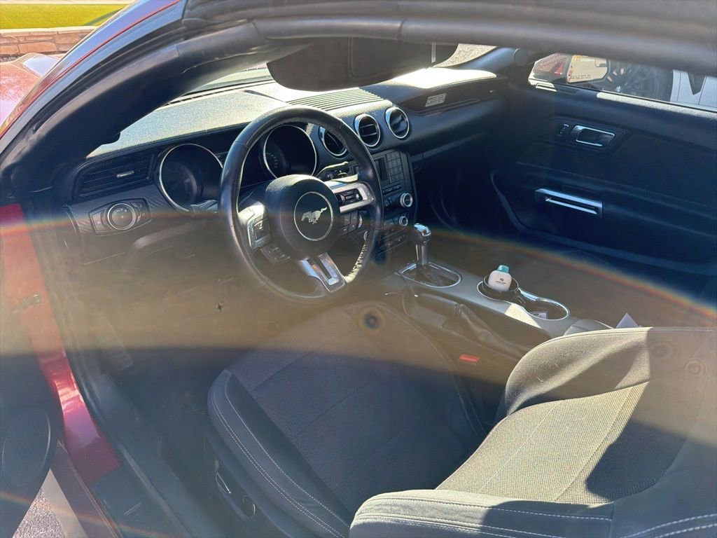 Used 2015 Ford Mustang Convertible w/ Equipment Group 051A image 4