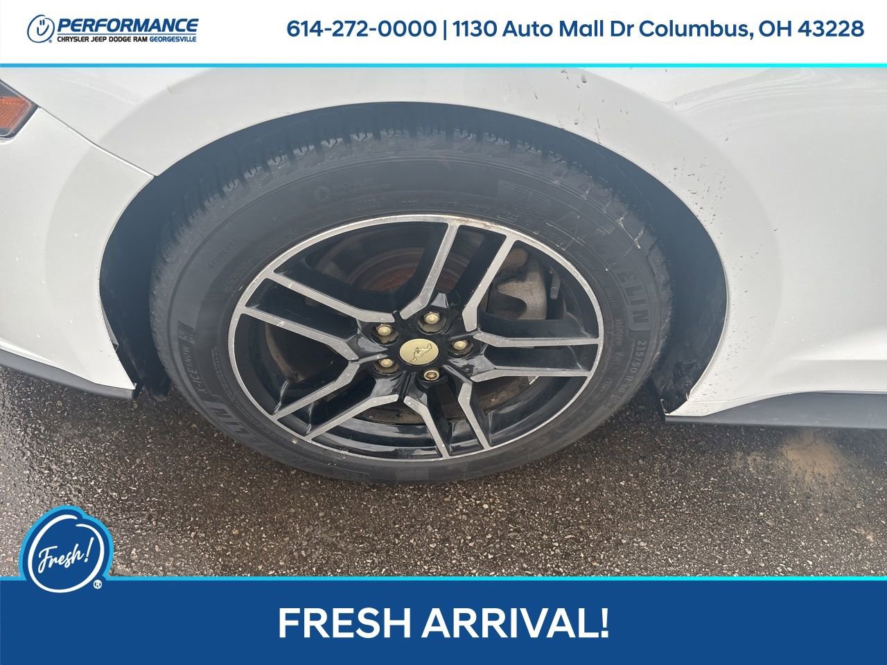 Used 2019 Ford Mustang Premium image 10