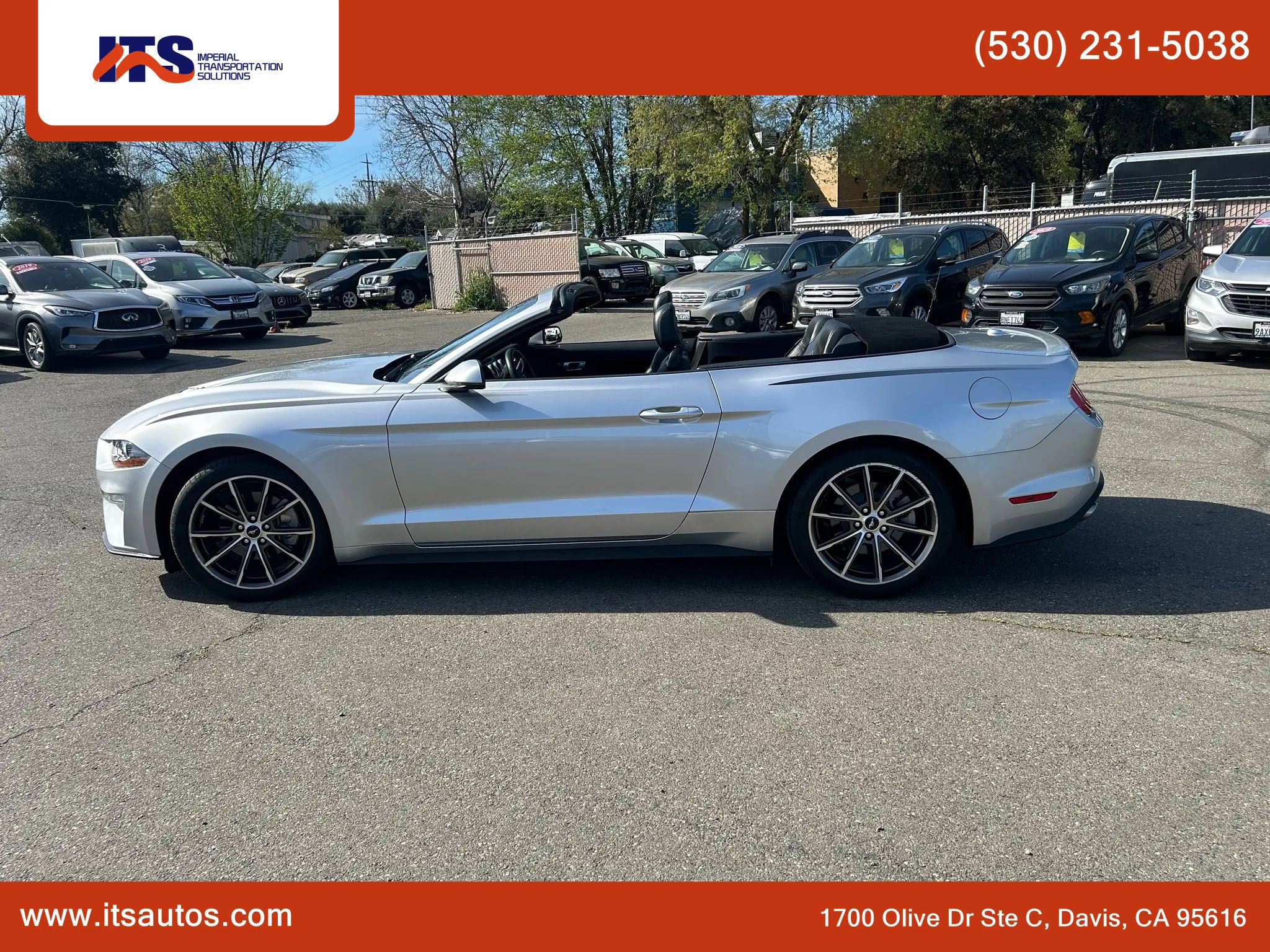 Used 2019 Ford Mustang Premium w/ Equipment Group 201A image 7