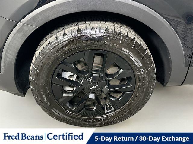 Used 2024 Kia Telluride SX Prestige X-Pro image 34