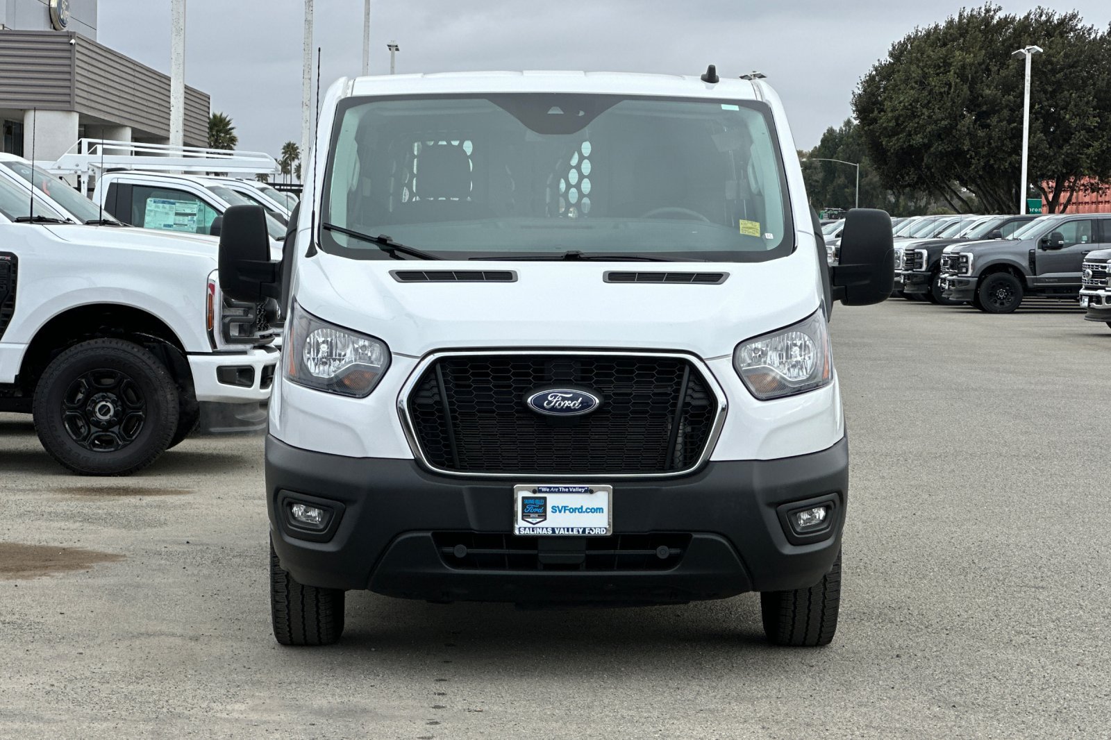Used 2025 Ford Transit 250 Low Roof w/ Exterior Upgrade Package RWD image 9
