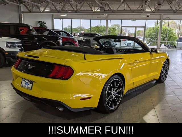 Used 2018 Ford Mustang Premium w/ Equipment Group 201A RWD image 8