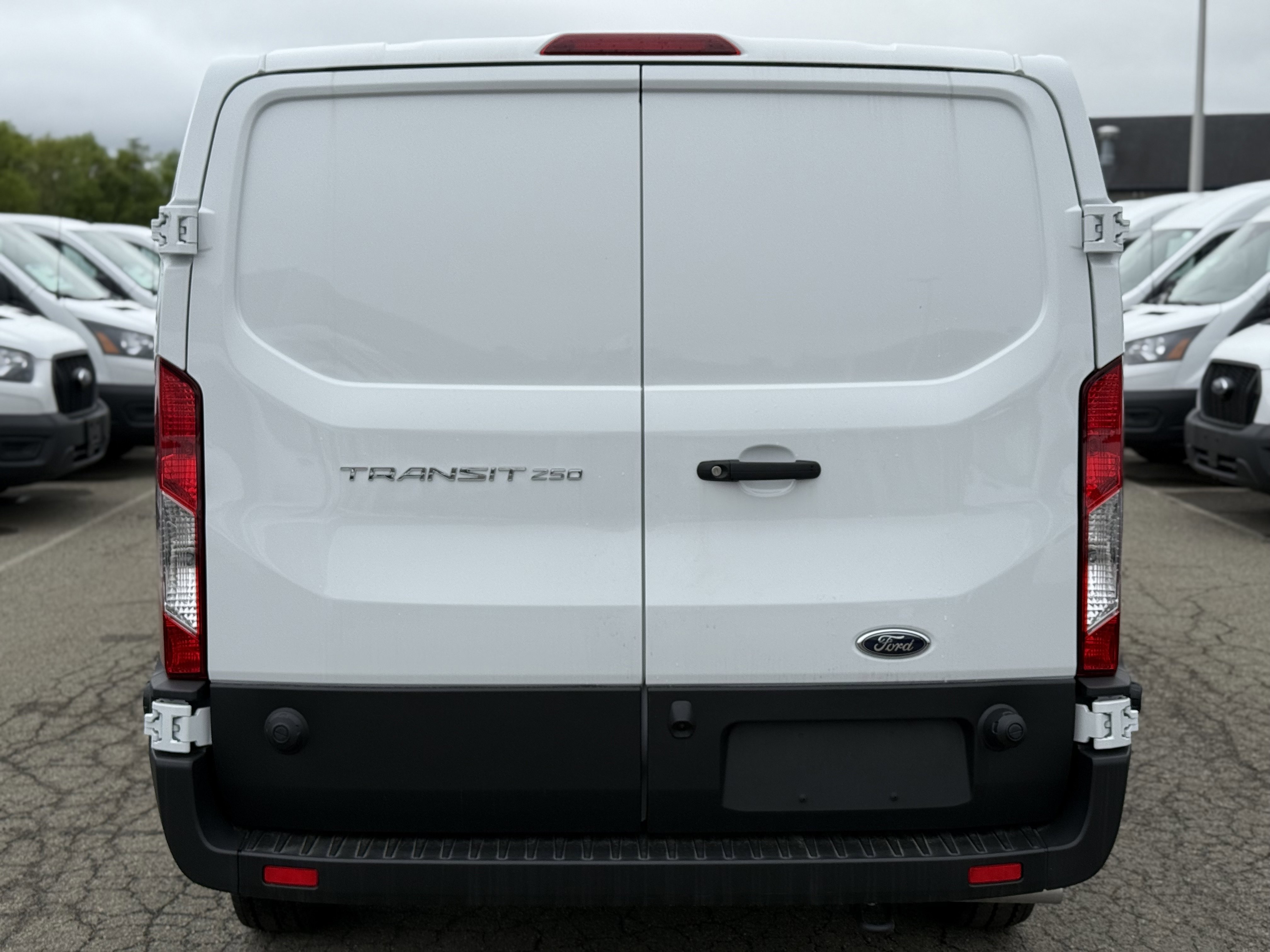 New 2024 Ford Transit 250 XL RWD image 3
