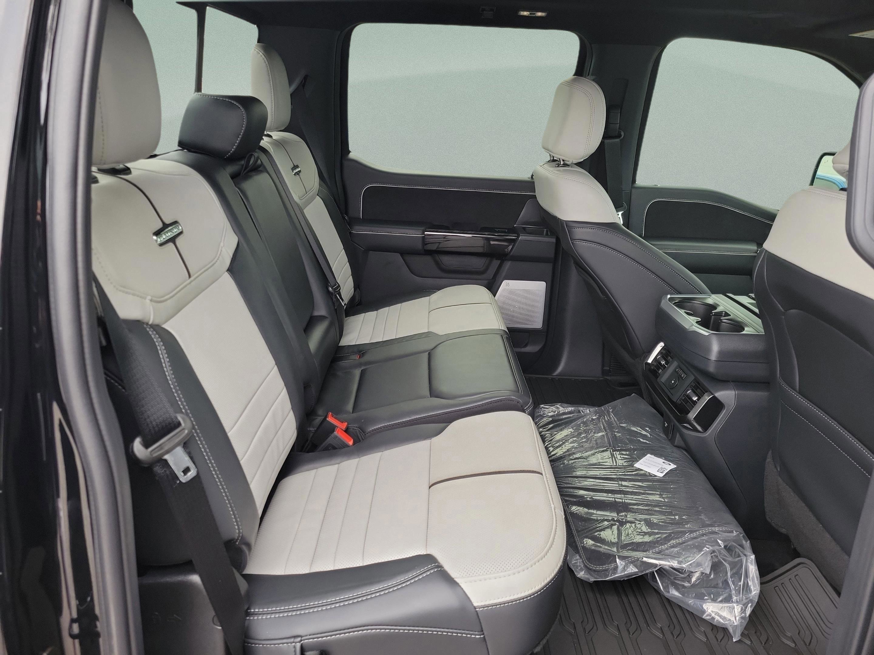 New 2025 Ford F150 Lightning Platinum image 10