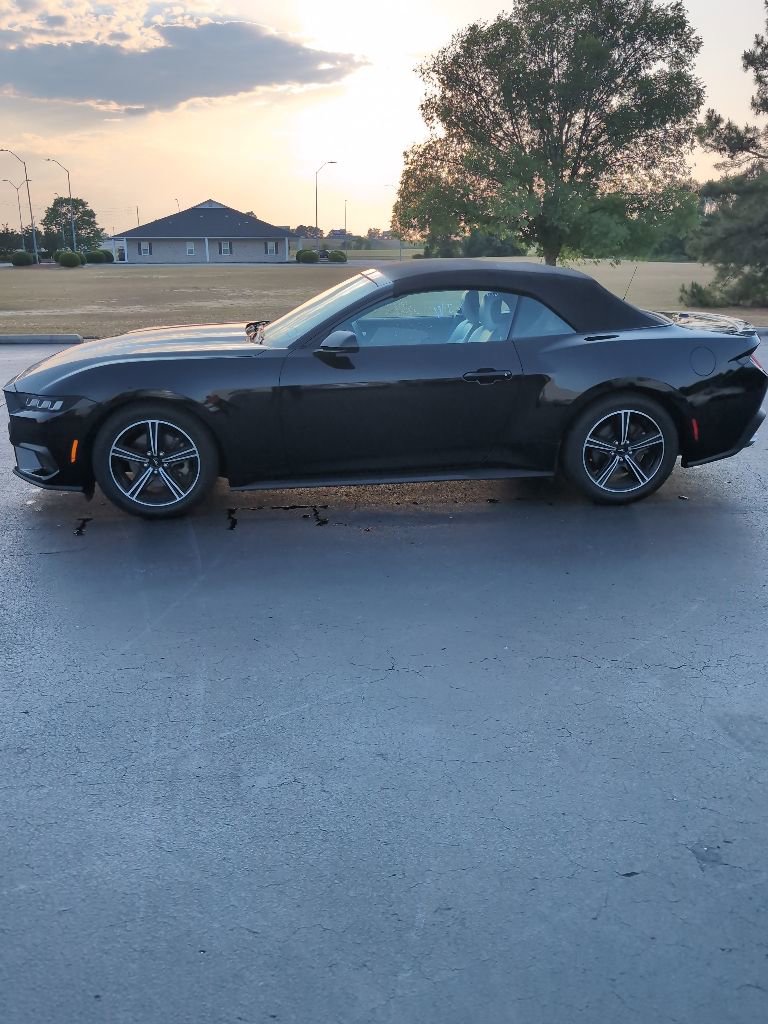 Used 2024 Ford Mustang Premium RWD image 2