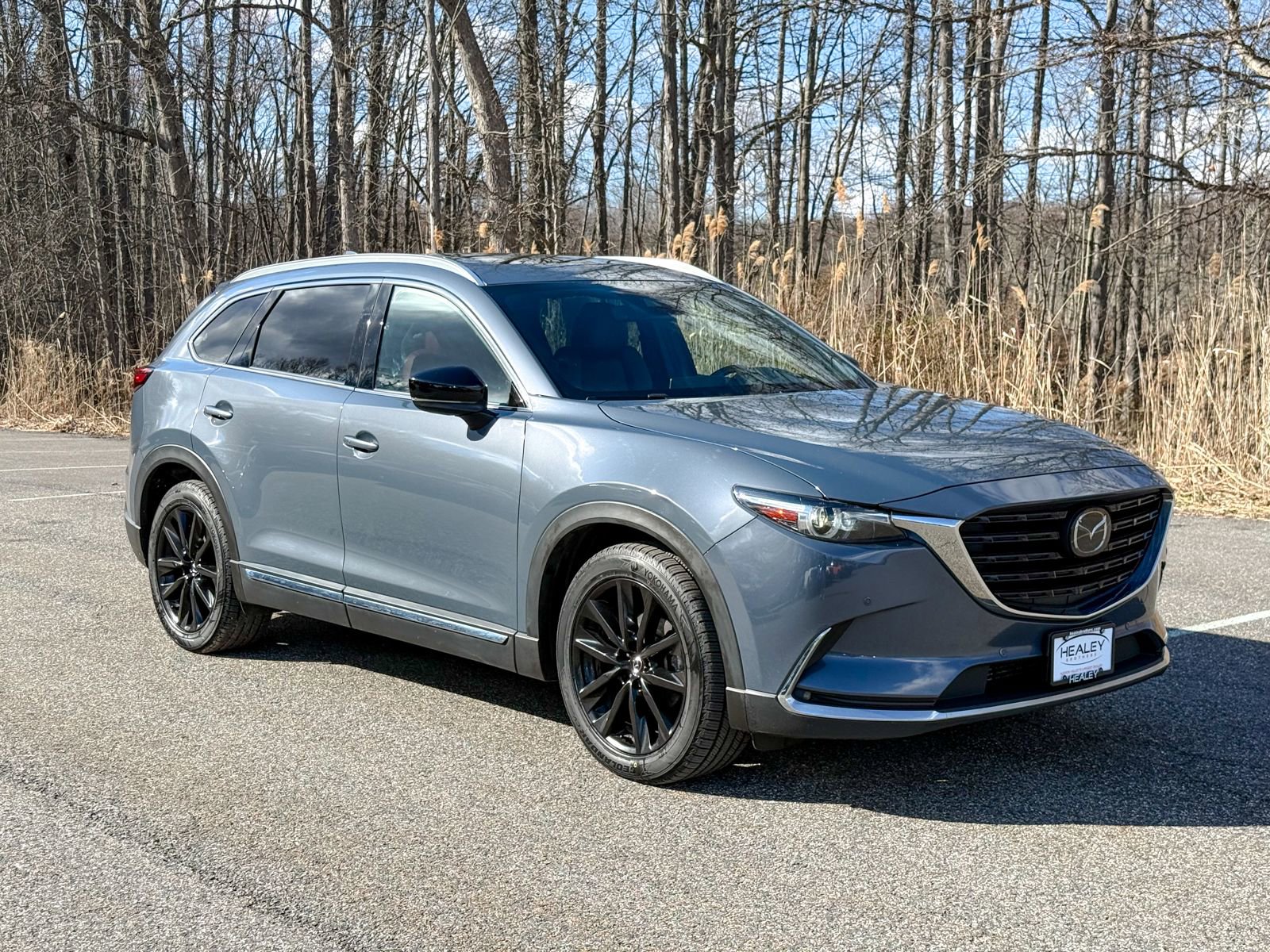Used 2022 MAZDA CX-9 Carbon Edition AWD/4WD image 1