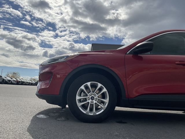 Used 2022 Ford Escape SE w/ Cold Weather Package AWD/4WD image 11