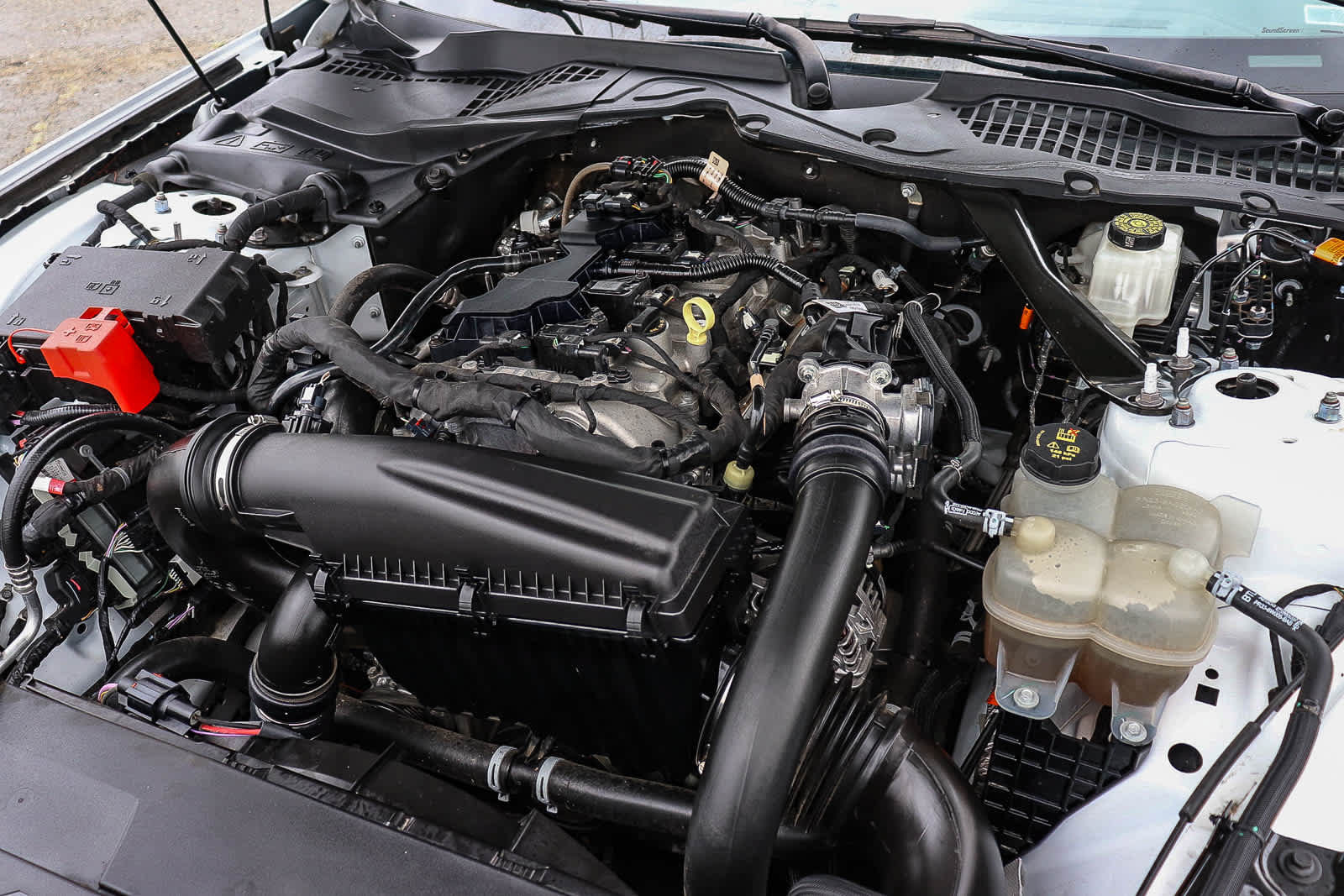 Used 2024 Ford Mustang Premium RWD image 31