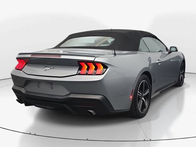 Used 2024 Ford Mustang Premium RWD image 9