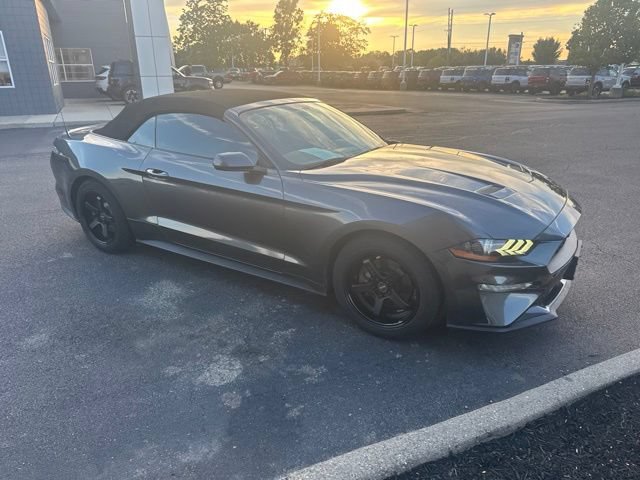 Used 2018 Ford Mustang Premium RWD image 5