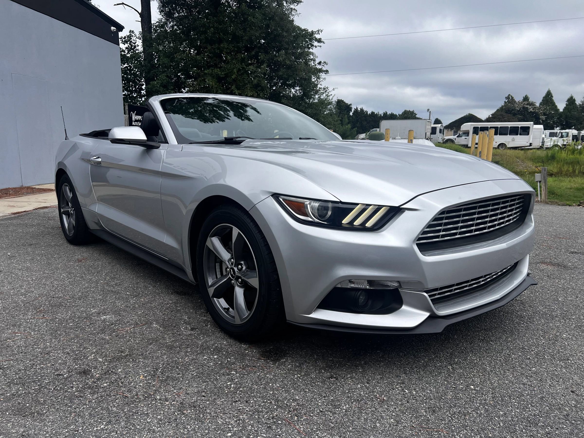Used 2017 Ford Mustang Premium image 3