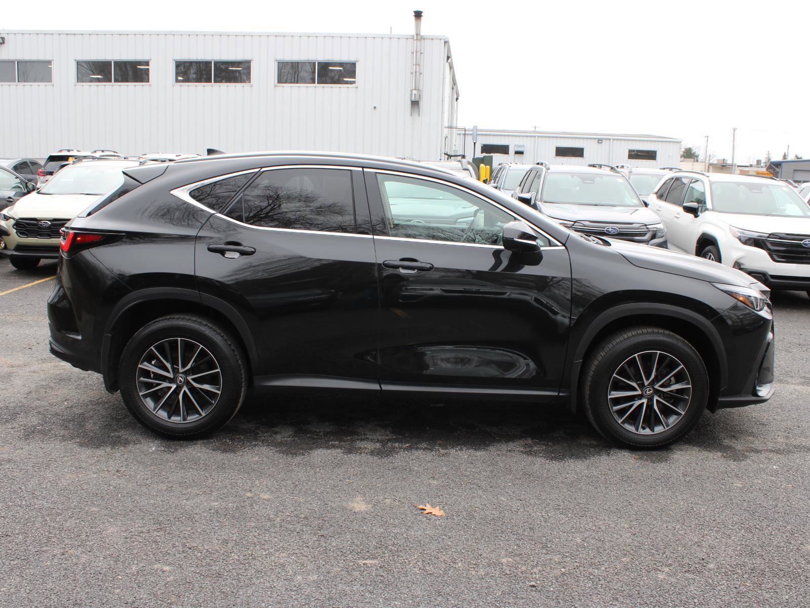 Used 2024 Lexus NX 350h AWD w/ Cold Area Package image 4