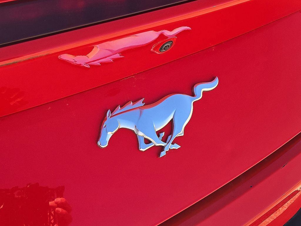 Used 2024 Ford Mustang Premium image 12