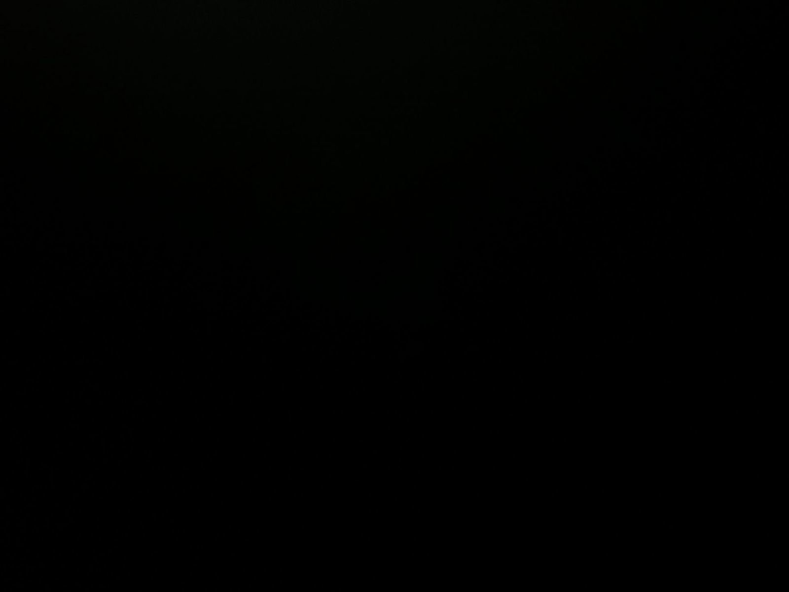 Used 2025 Kia Sportage X-Pro image 4