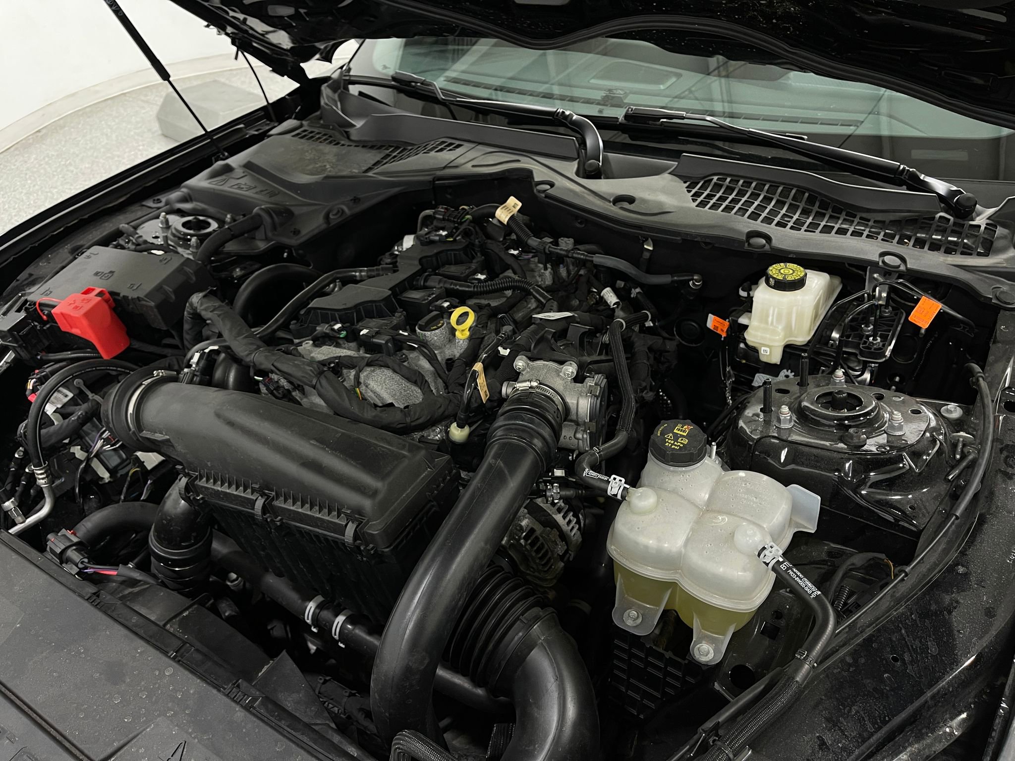 Used 2026 Ford Mustang Coupe RWD image 25