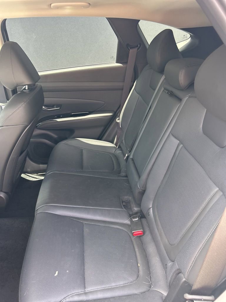 Certified 2026 Hyundai Tucson Limited image 12