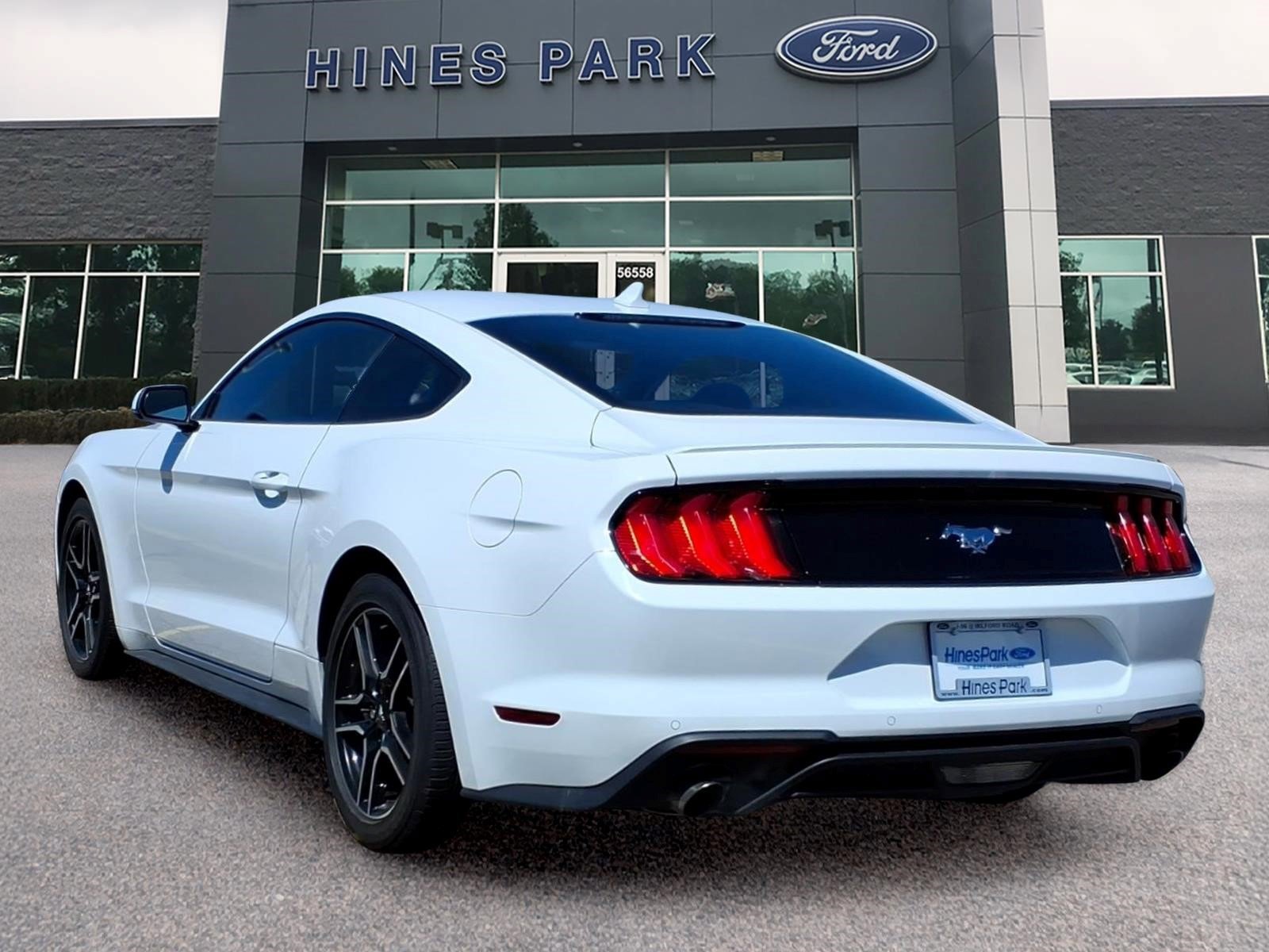 Used 2020 Ford Mustang Premium w/ Equipment Group 201A RWD image 5