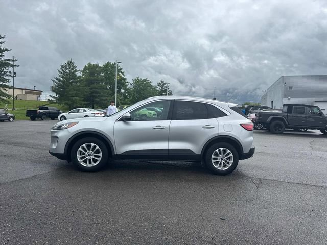 Used 2020 Ford Escape SE AWD/4WD image 8