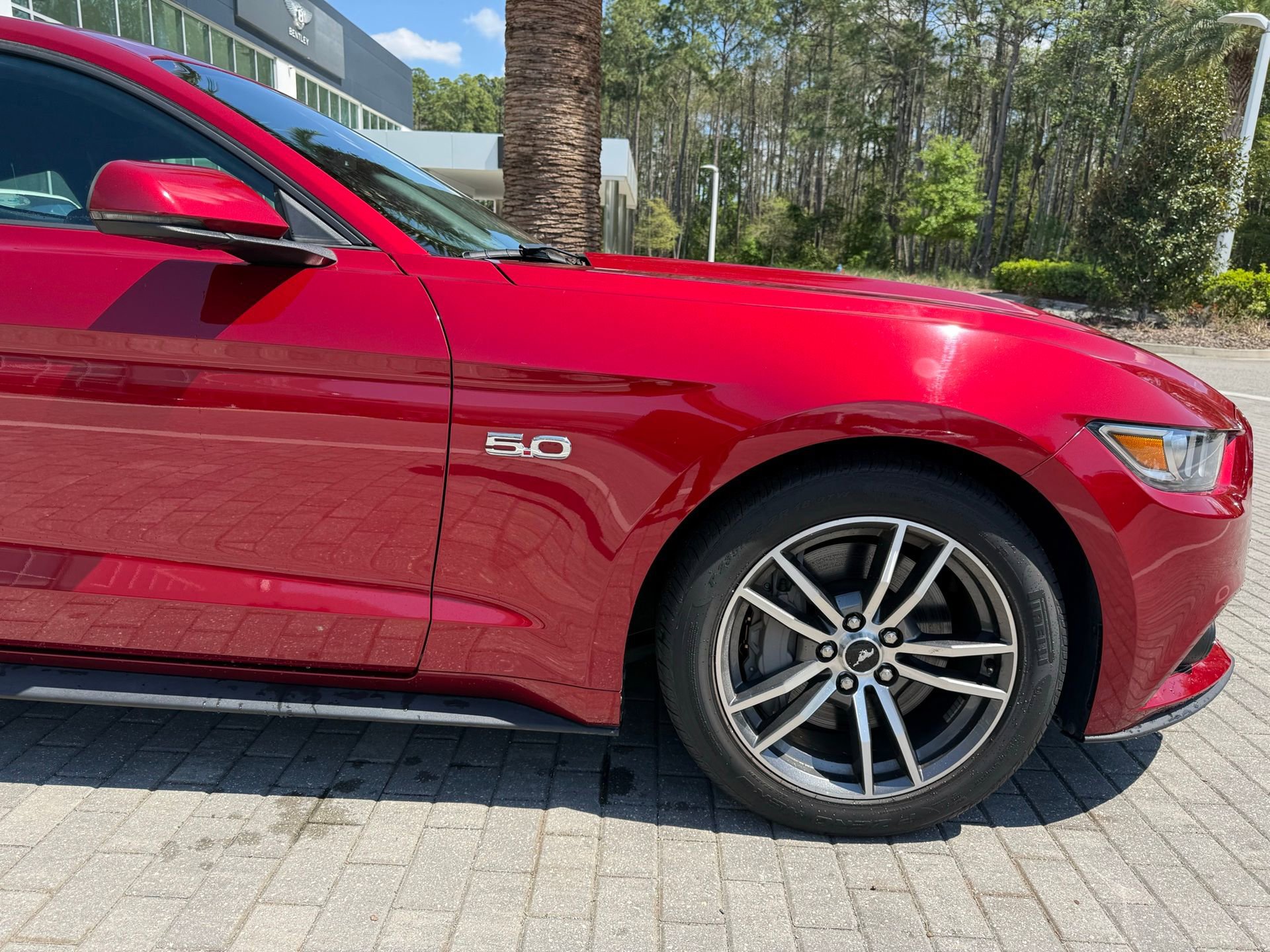 Used 2017 Ford Mustang GT Premium w/ Equipment Group 401A image 6