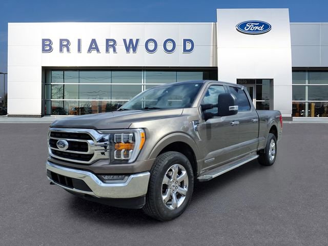 Used 2022 Ford F150 XLT w/ Equipment Group 302A High image 1