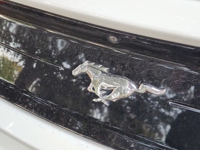 Used 2021 Ford Mustang Premium w/ Equipment Group 201A RWD image 10
