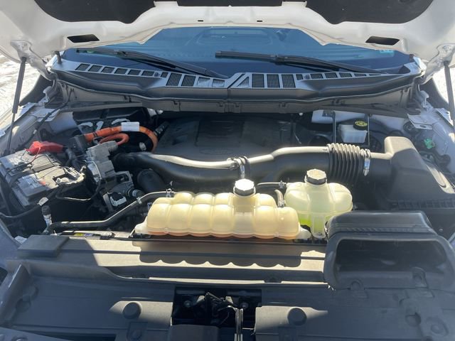 Used 2021 Ford F150 XLT w/ Equipment Group 302A High image 19