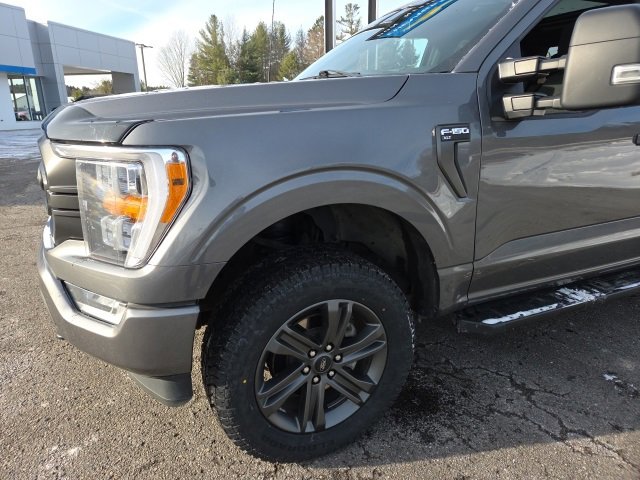 Used 2023 Ford F150 XLT w/ Equipment Group 302A High image 37