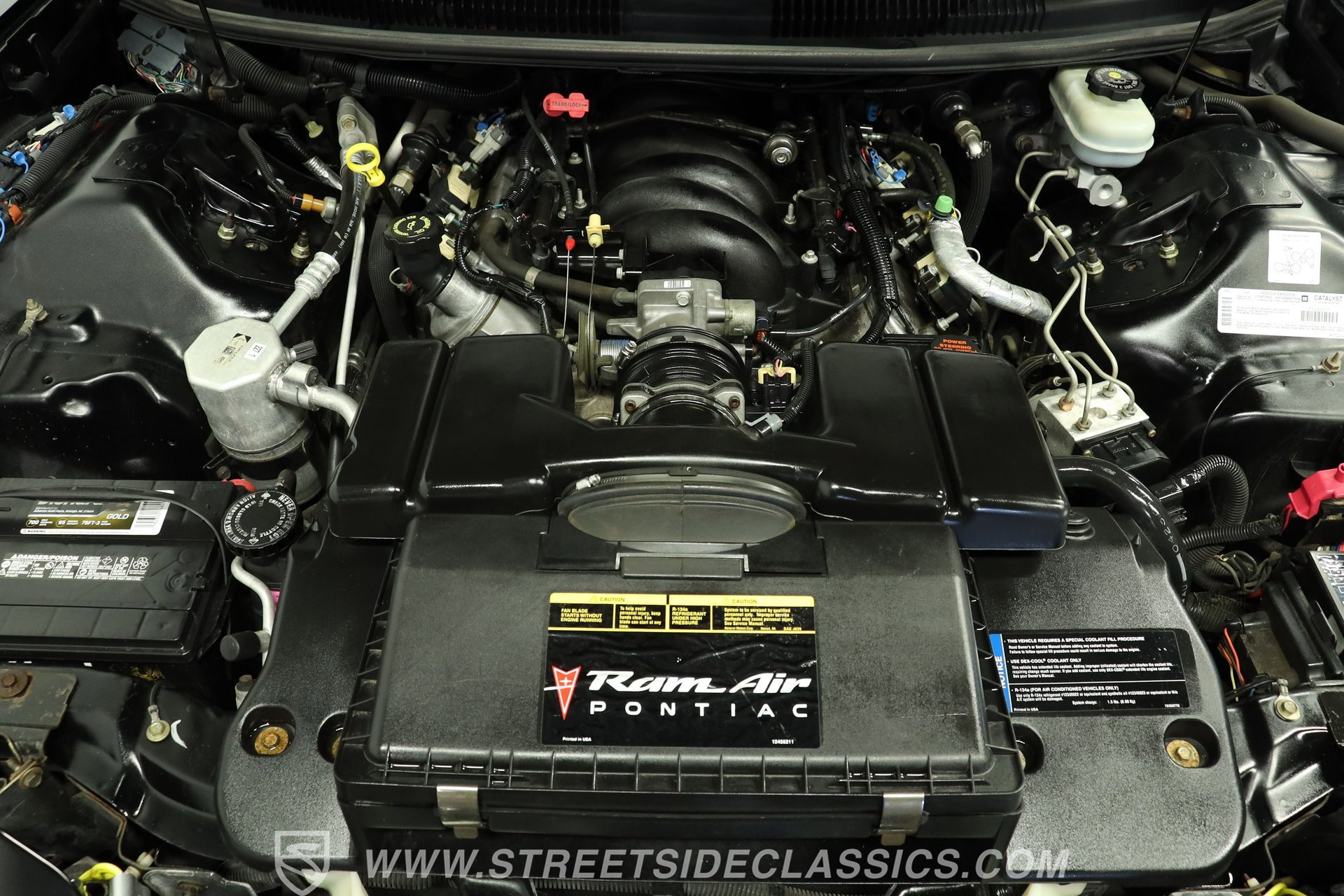 Used 2002 Pontiac Firebird Trans Am RWD image 3
