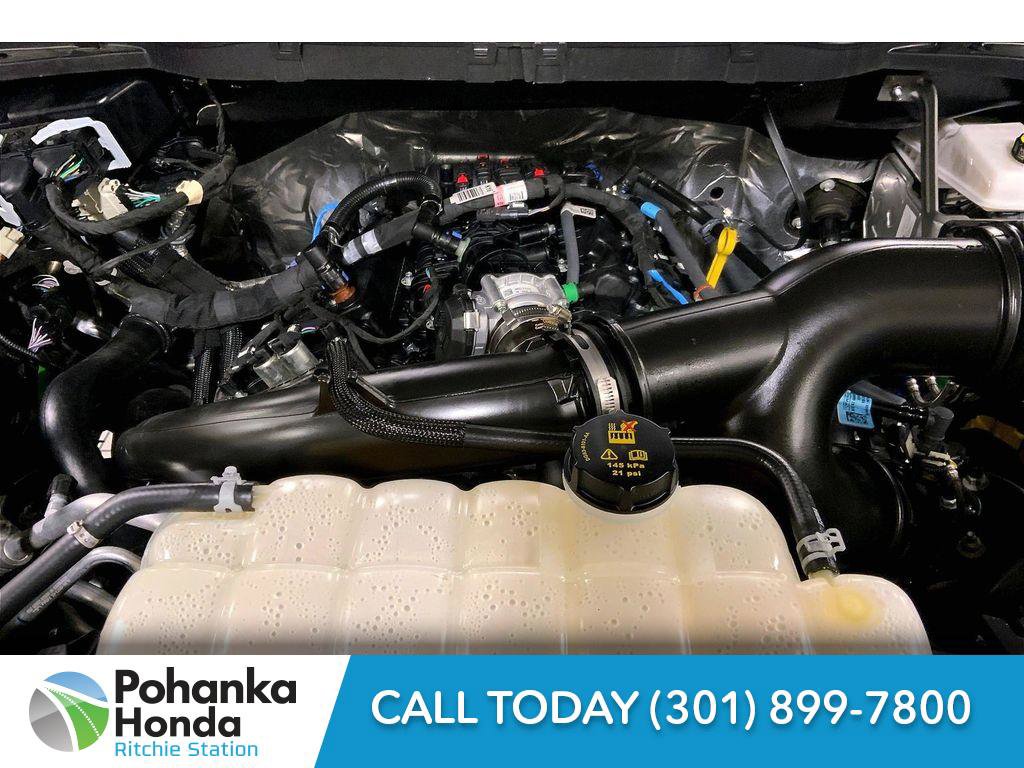 Used 2025 Ford F150 XLT w/ Equipment Group 301A Standard image 8