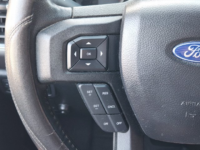 Used 2019 Ford F150 XLT w/ Equipment Group 302A Luxury AWD/4WD image 27