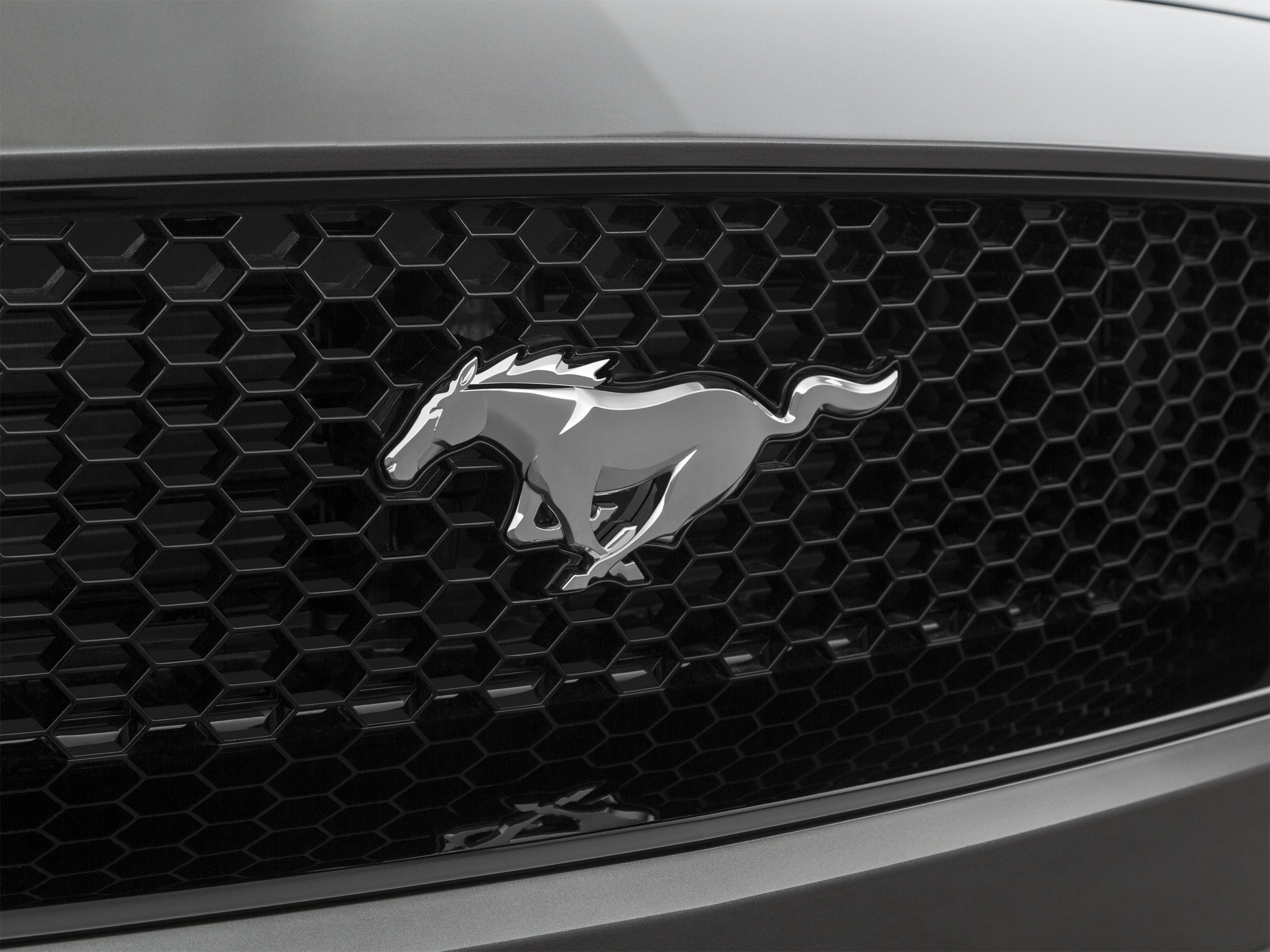 Used 2022 Ford Mustang GT w/ Equipment Group 301A RWD image 50