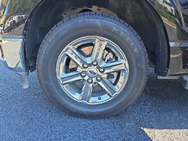 Used 2025 Ford F150 XLT w/ Equipment Group 301A Standard RWD image 34
