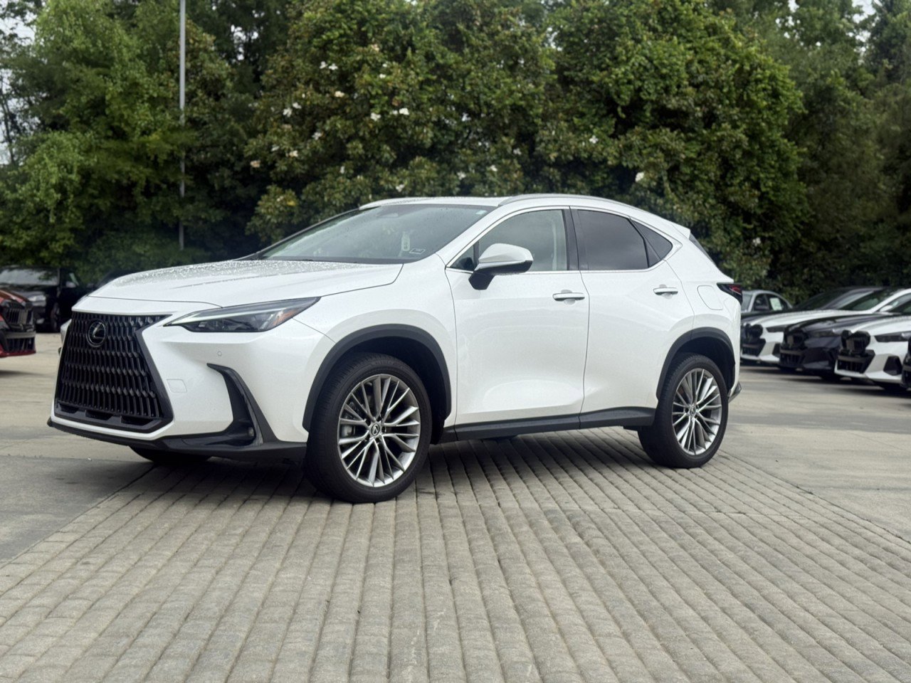 Used 2023 Lexus NX 350h AWD image 2