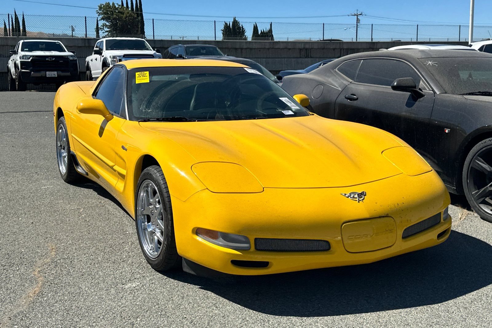 Used 2003 Chevrolet Corvette Z06 w/ Memory Package, 3 Drivers RWD image 2