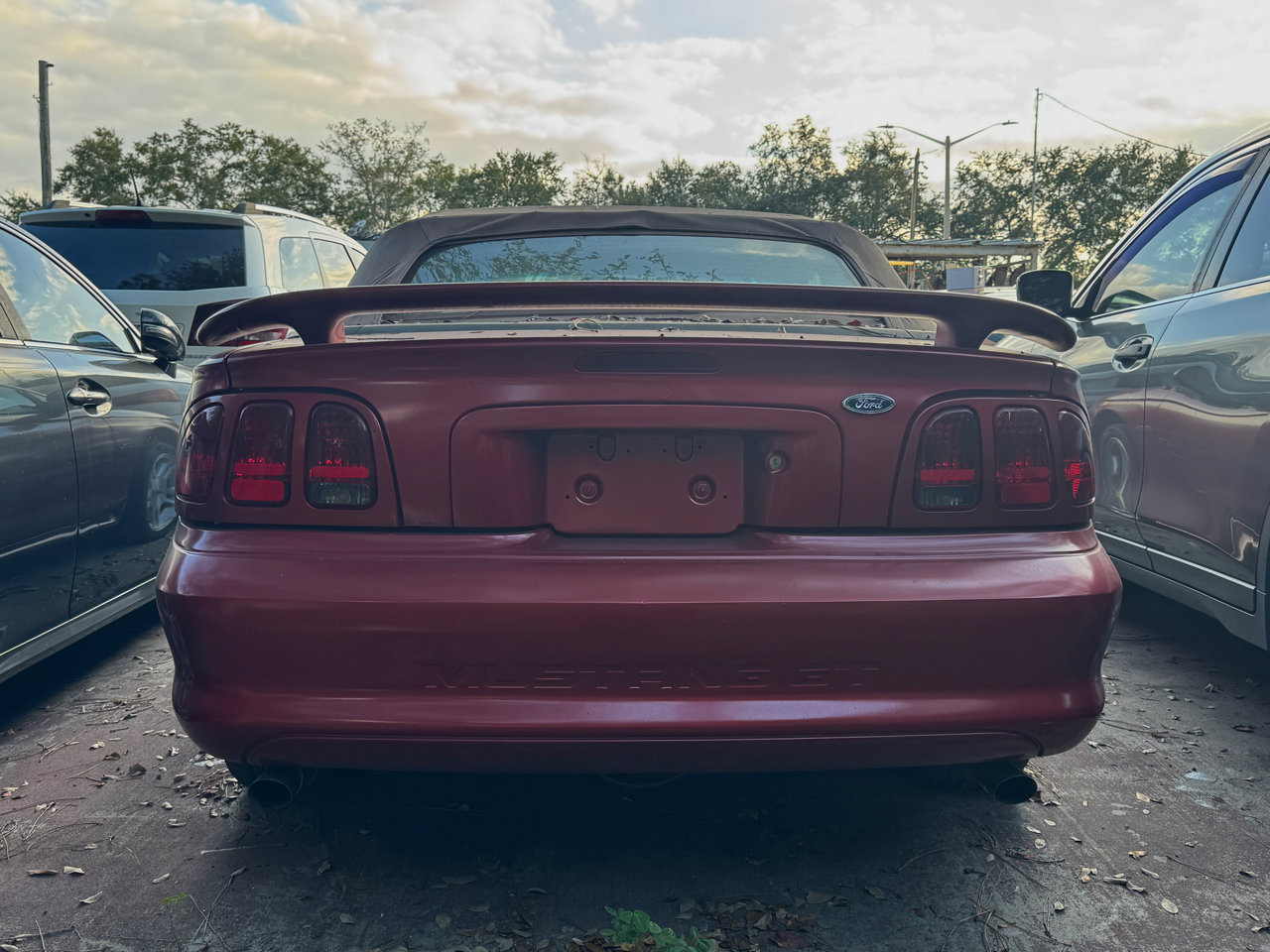 Used 1998 Ford Mustang GT image 3
