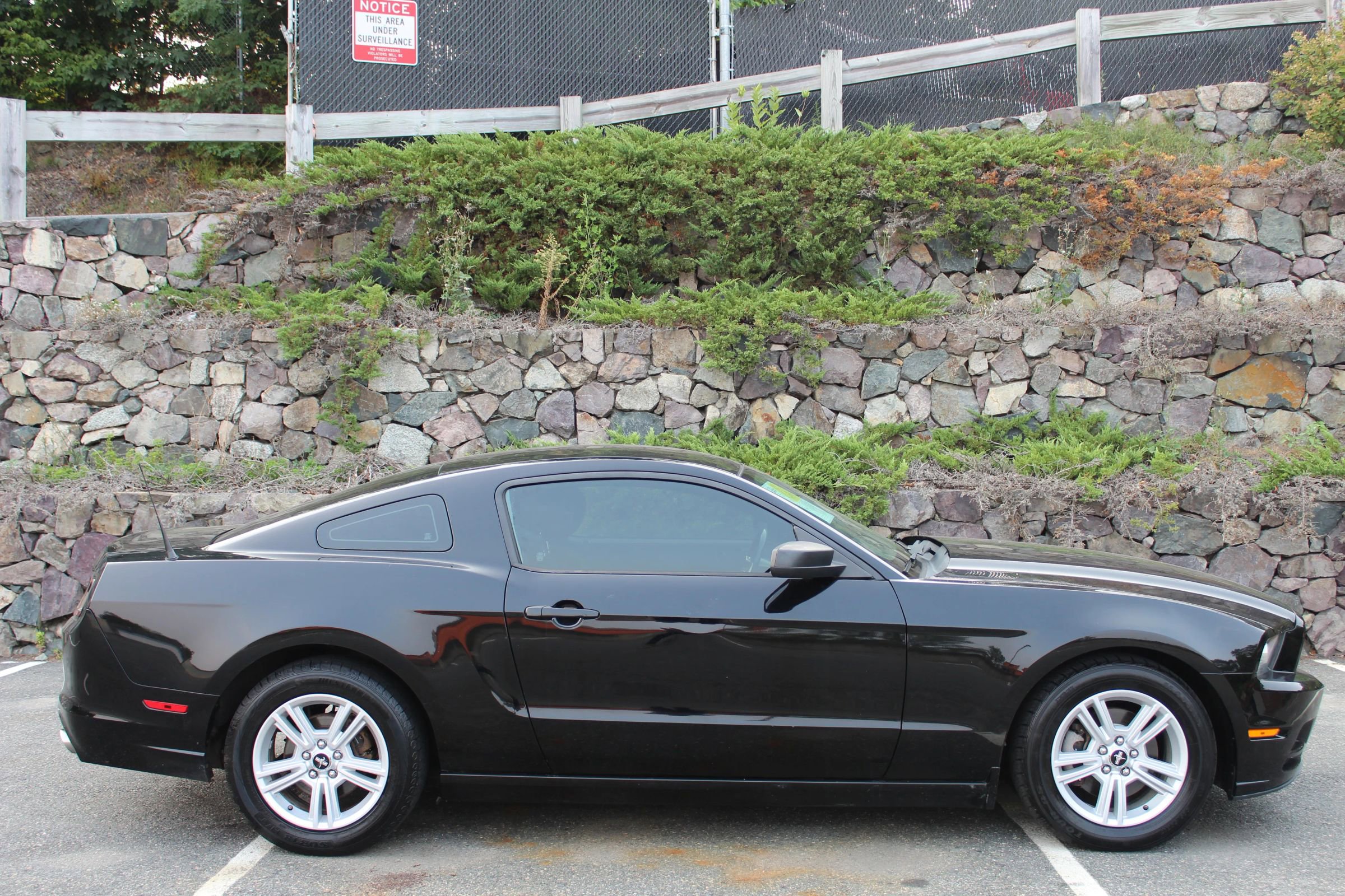 Used 2014 Ford Mustang V6 Coupe 2D image 5