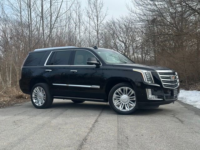 Used 2019 Cadillac Escalade Platinum image 4