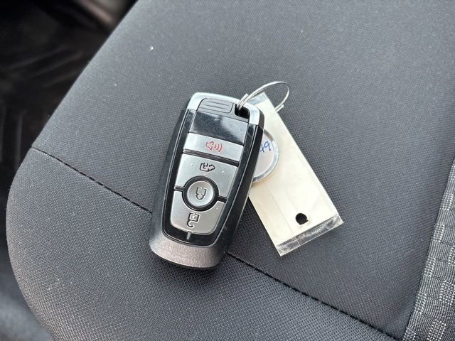 New 2024 Ford Transit 250 Low Roof w/ Load Area Protection Package RWD image 29