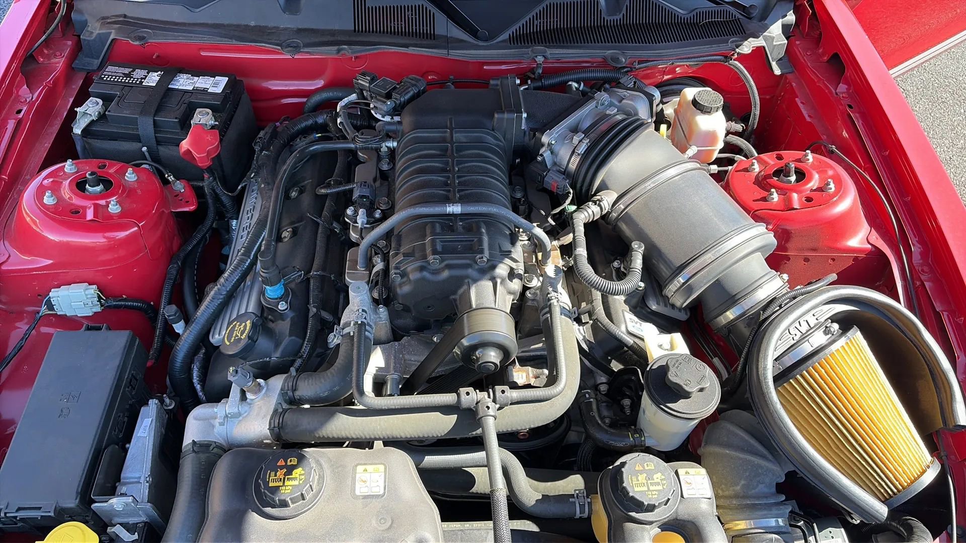 Used 2010 Ford Mustang Shelby GT500 image 45