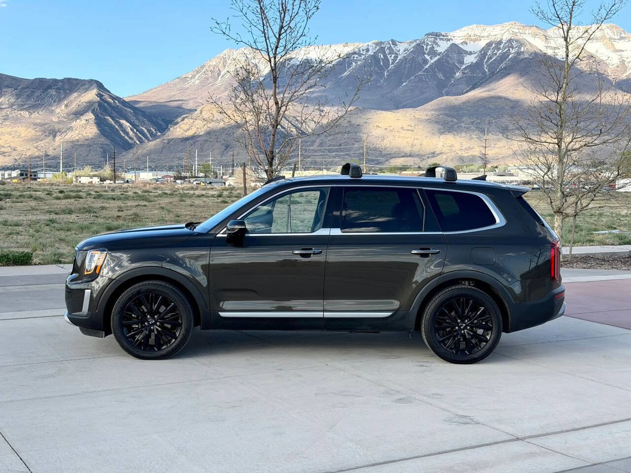 Used 2020 Kia Telluride SX w/ SX Prestige Package image 5