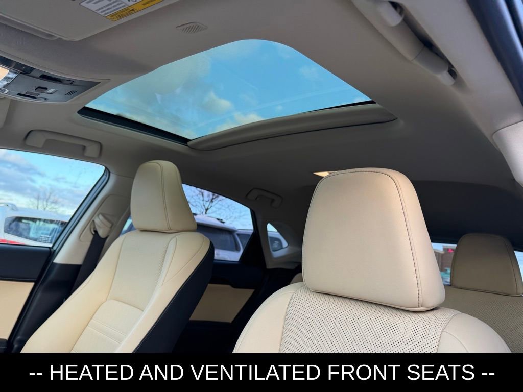 Used 2019 Lexus NX 300 AWD image 7