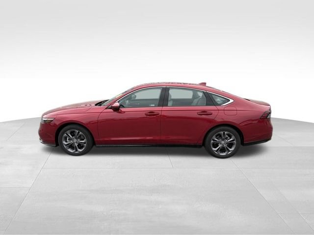 Certified 2025 Honda Accord EX-L image 5