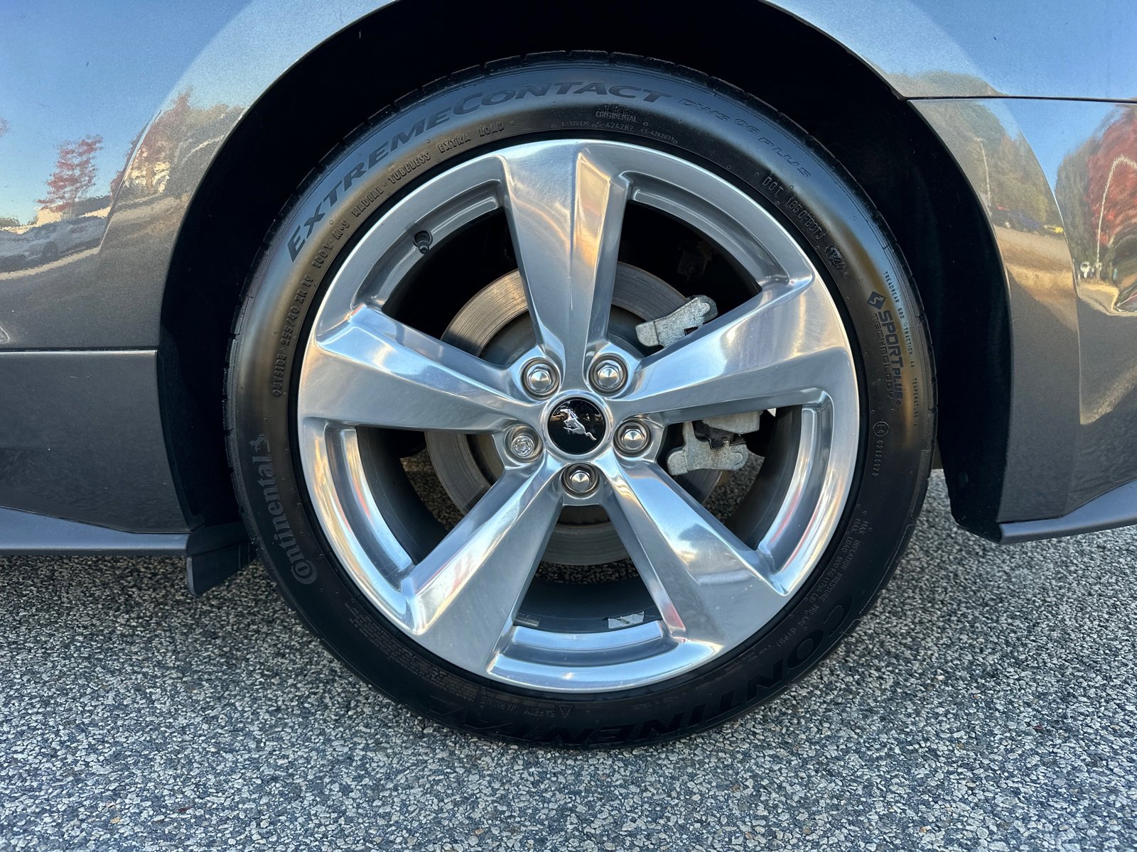 Used 2019 Ford Mustang GT Premium w/ Equipment Group 401A image 18