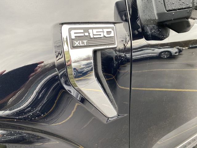 New 2025 Ford F150 XLT w/ Equipment Group 303A High image 36