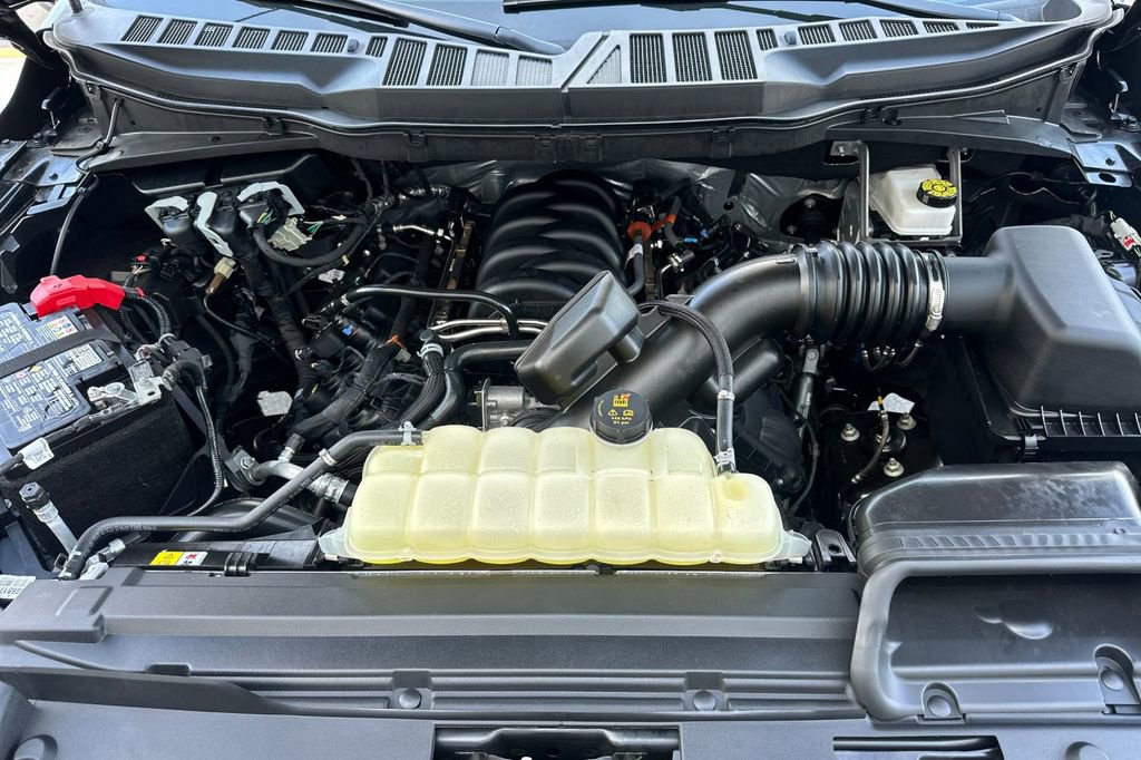 Certified 2025 Ford F150 STX w/ STX Black Appearance Package image 20