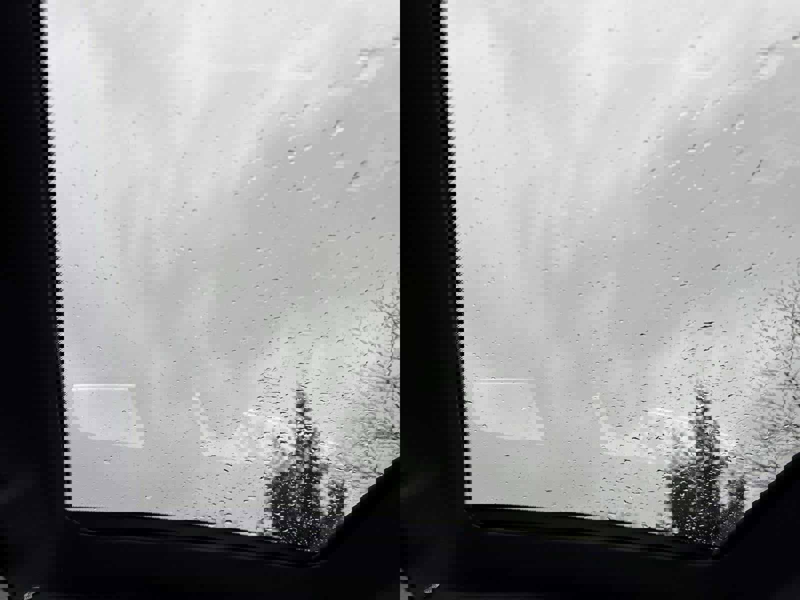 Used 2019 Mercedes-Benz C 300 4MATIC Sedan image 12