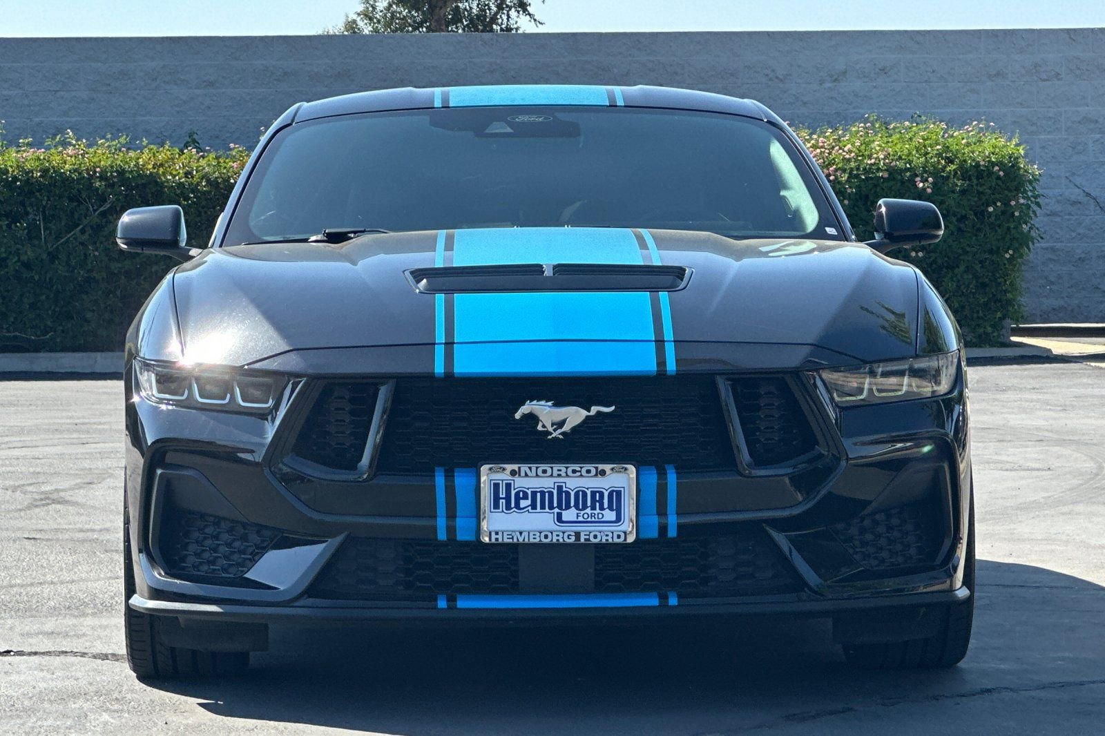 Used 2024 Ford Mustang GT Premium image 9