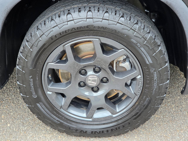 Certified 2025 Honda Pilot TrailSport image 11