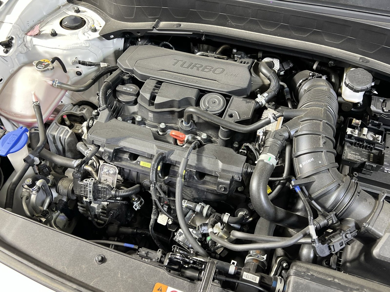 Used 2025 Kia Seltos SX w/ SX Sunroof Package image 27