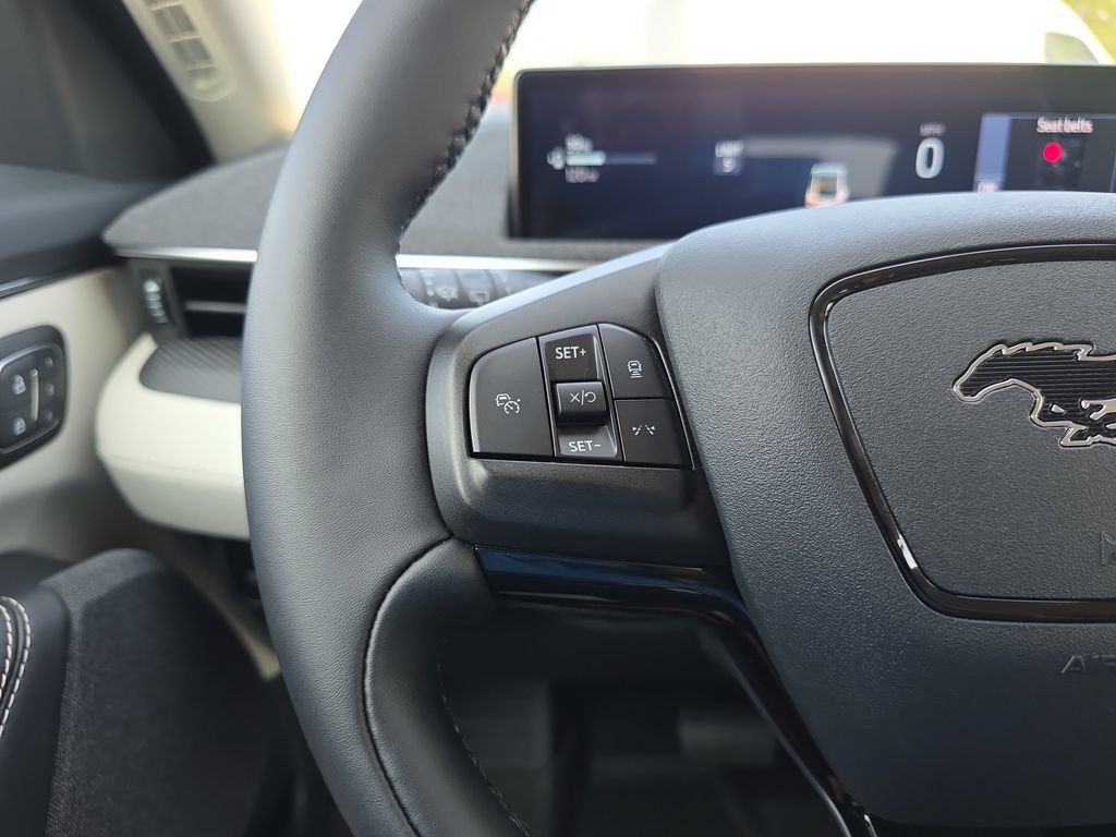 New 2026 Ford Mustang Mach-E Premium w/ Interior Protection Package RWD image 22